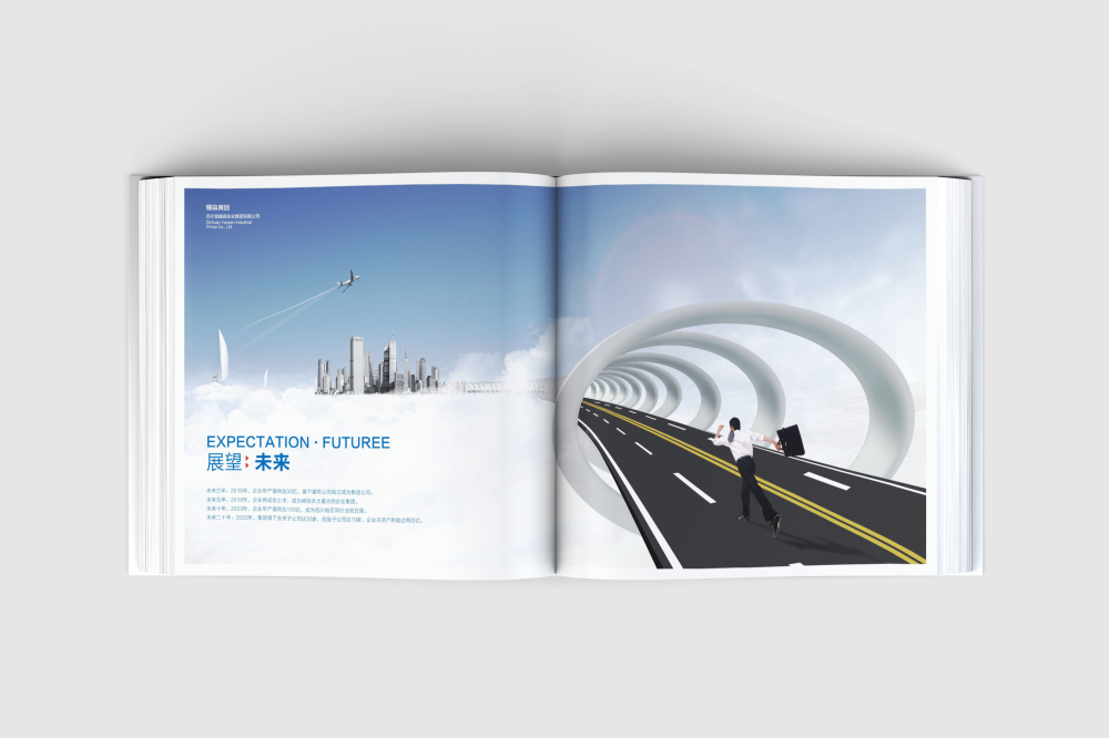 巨鹿县画册设计